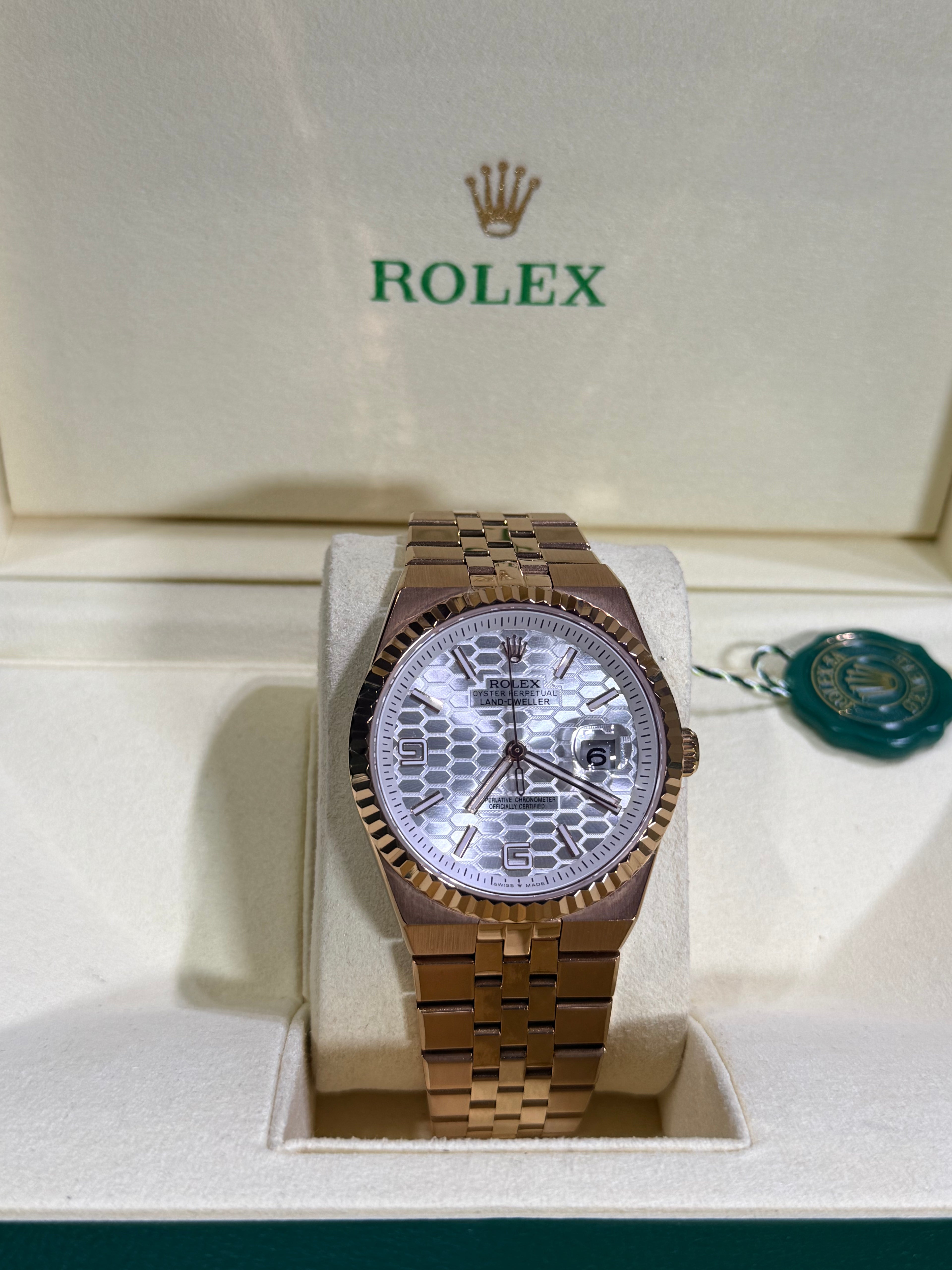 Rolex - Land-Dweller 40